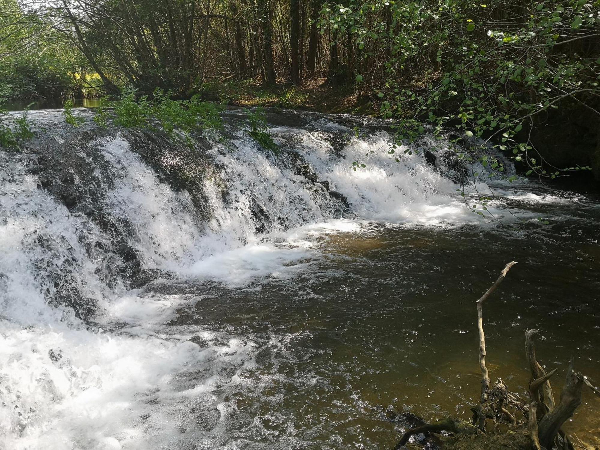 Quinta Das Aguias Aveiro Buitenkant foto