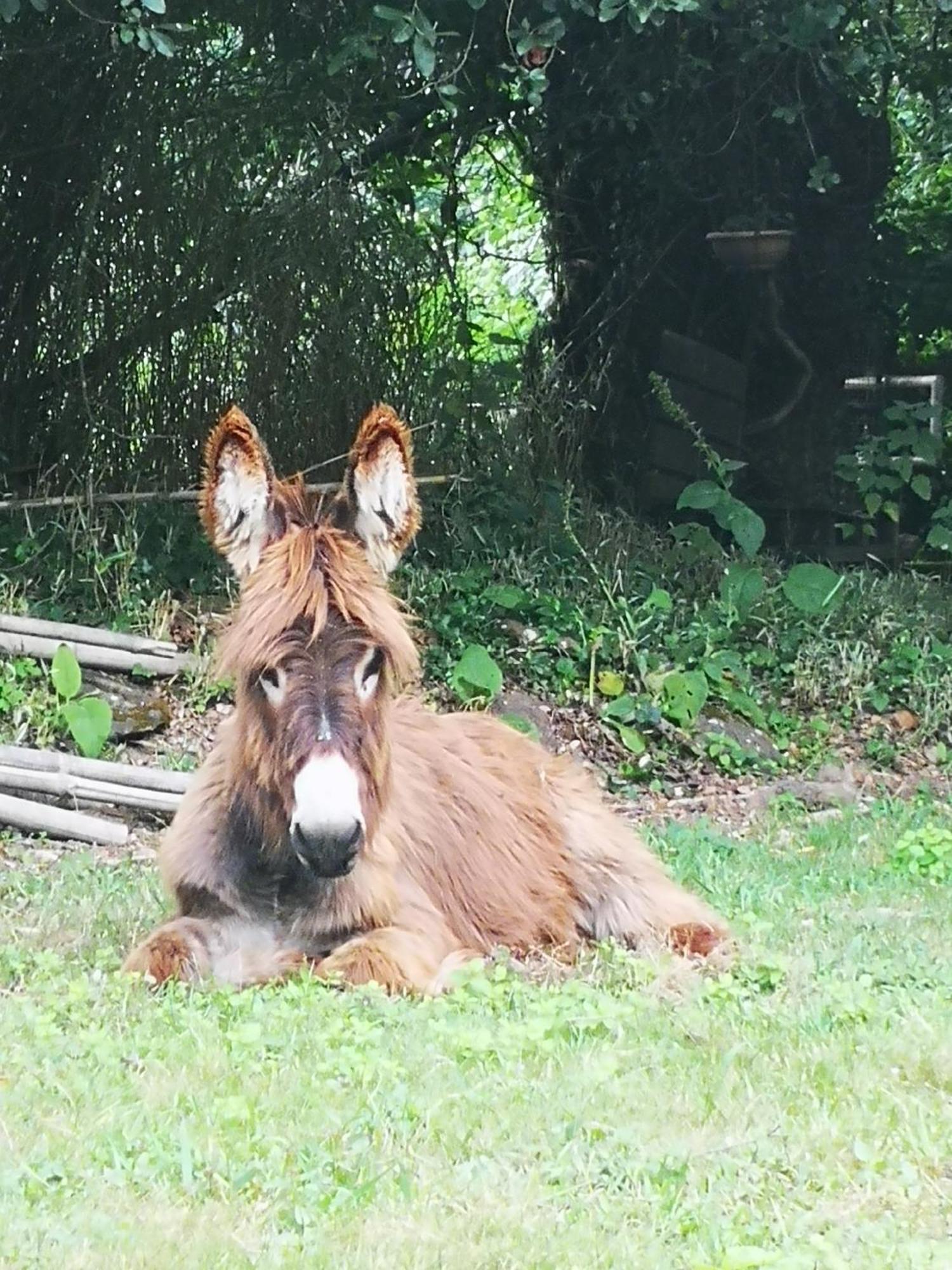 Quinta Das Aguias Aveiro Buitenkant foto