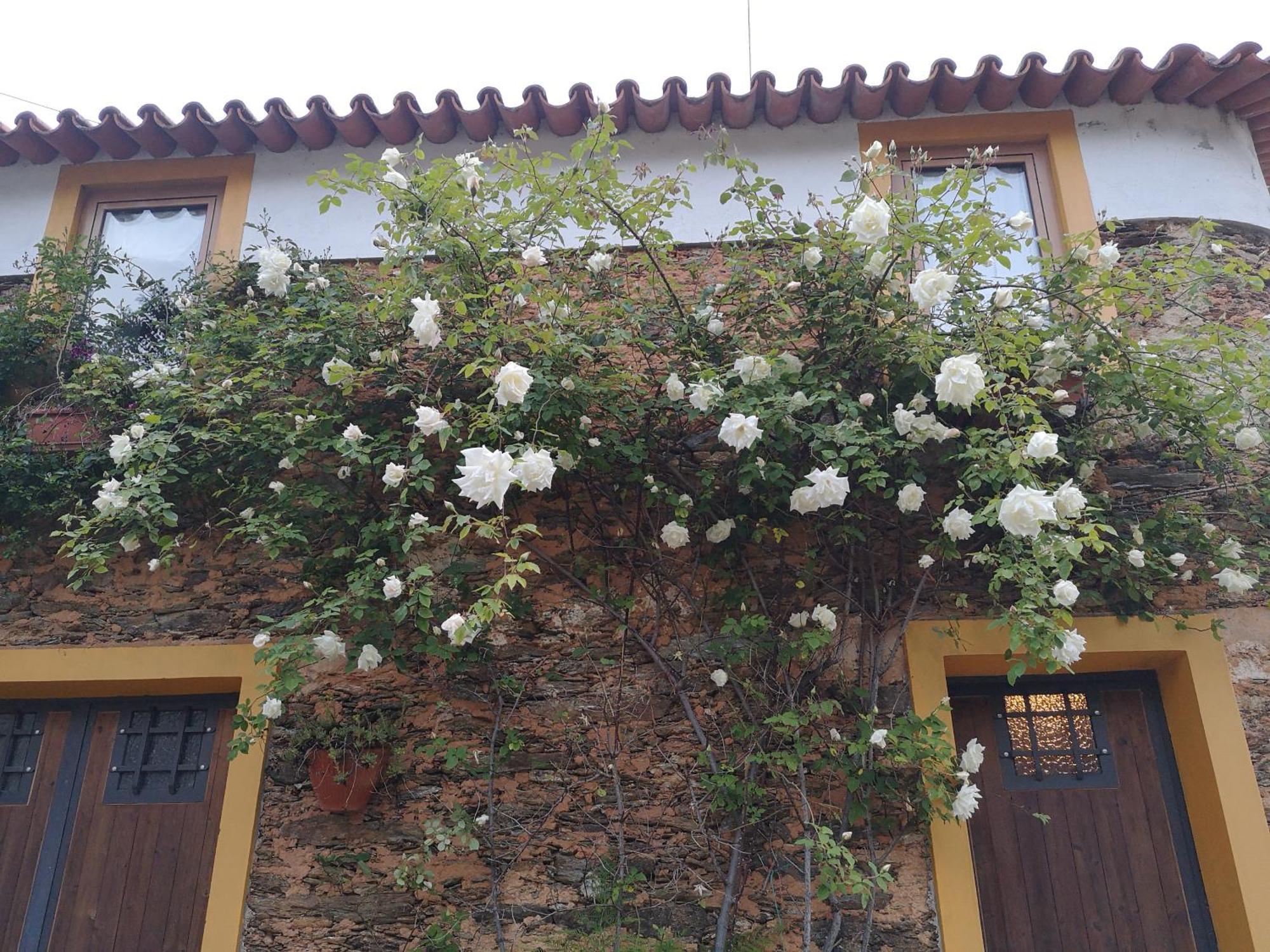 Quinta Das Aguias Aveiro Buitenkant foto