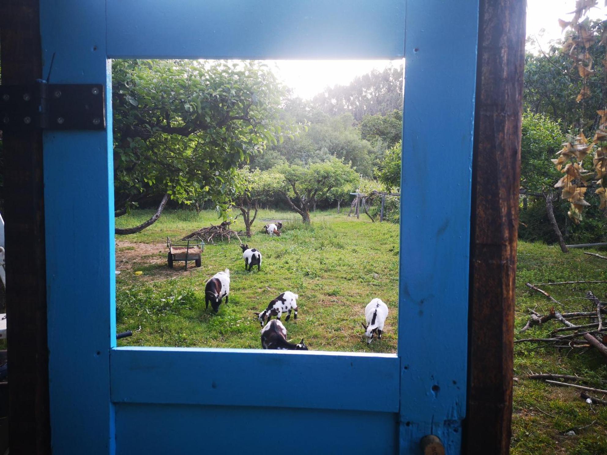 Quinta Das Aguias Aveiro Buitenkant foto